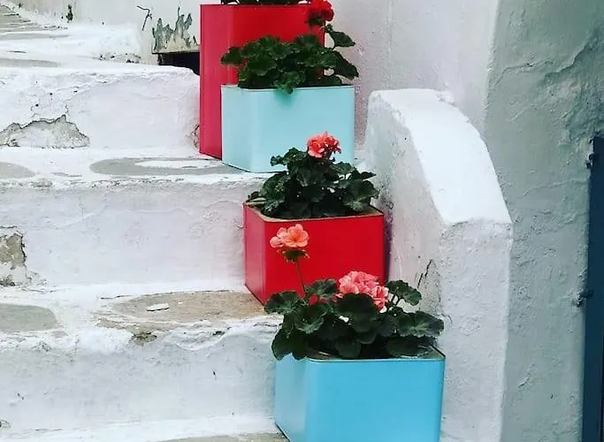 Kalli's Tranditional Renovated House In